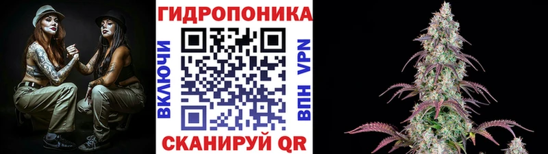 МЕГА tor Чаплыгин Бошки марихуана сатива купить наркоту